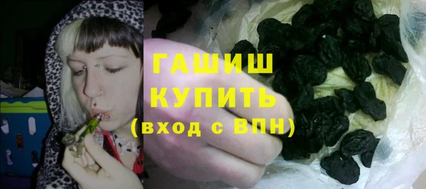 стаф Горнозаводск