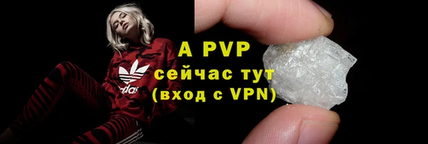 винт Горно-Алтайск