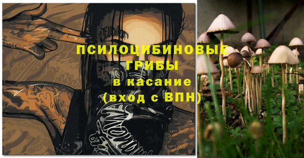 винт Горно-Алтайск