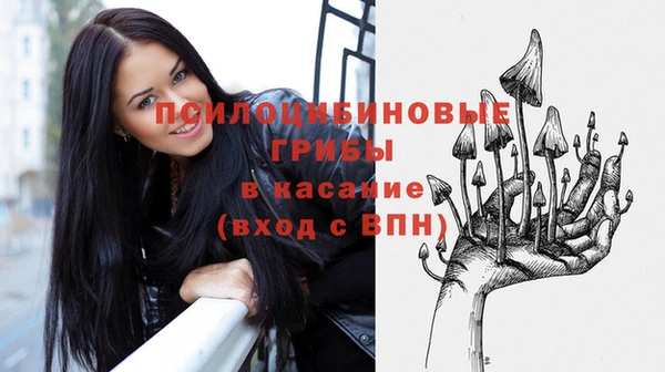 винт Горно-Алтайск