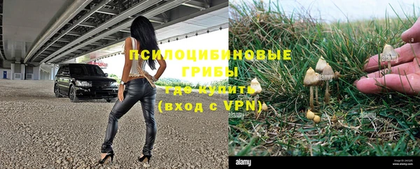 стаф Горнозаводск